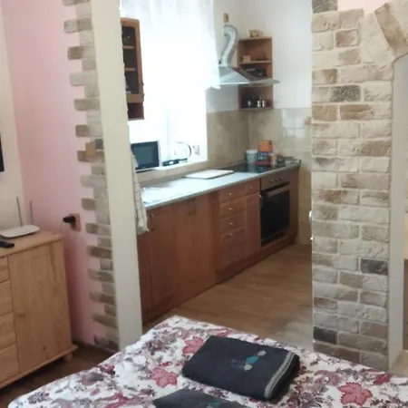 Pod Baruncinou Skolou Apartament